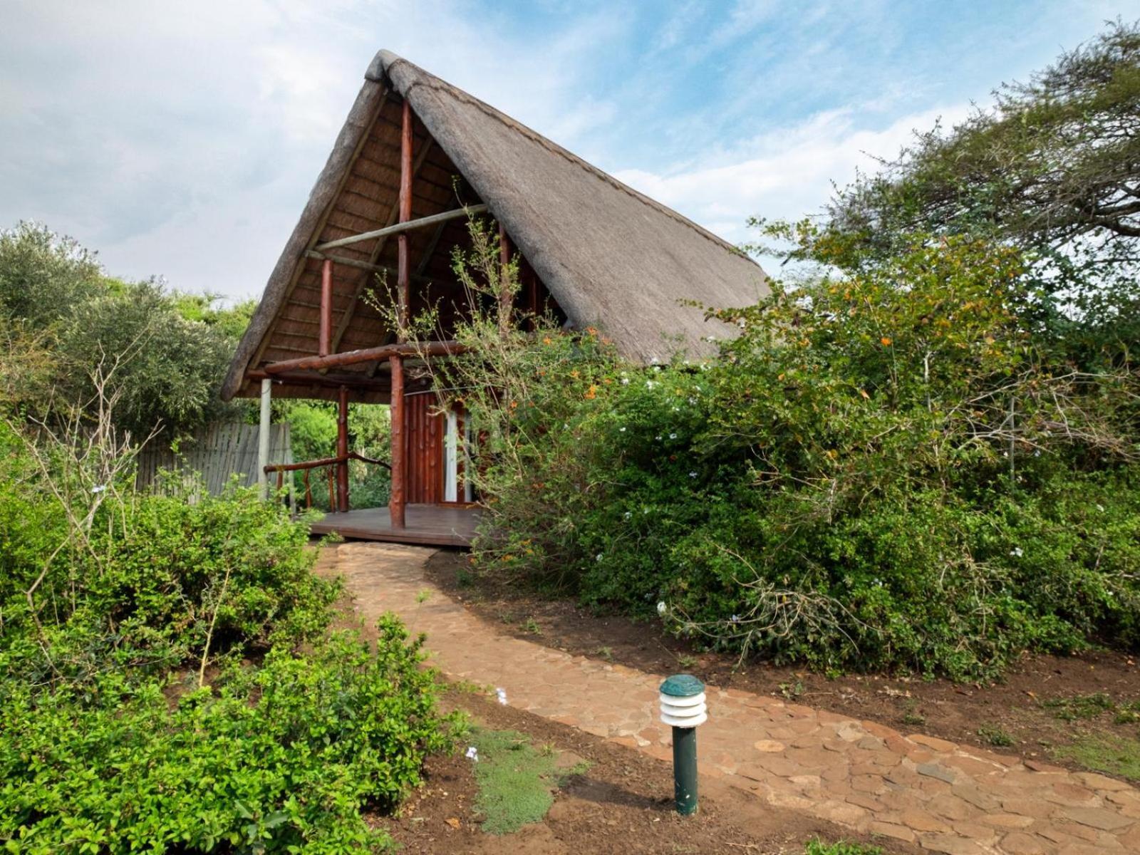 Rhino River Lodge Manyoni Private Game Reserve Εξωτερικό φωτογραφία