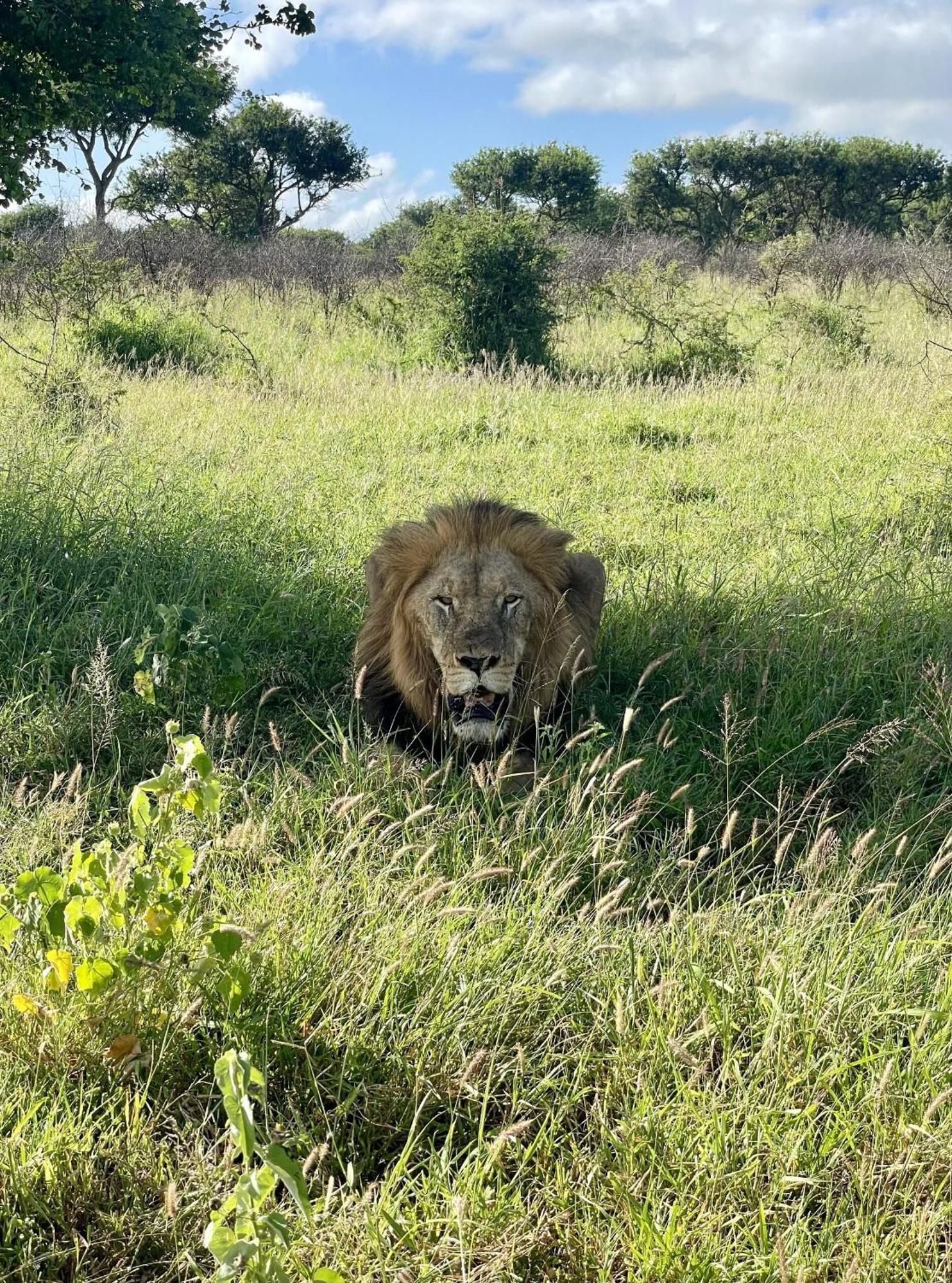 Rhino River Lodge Manyoni Private Game Reserve Εξωτερικό φωτογραφία